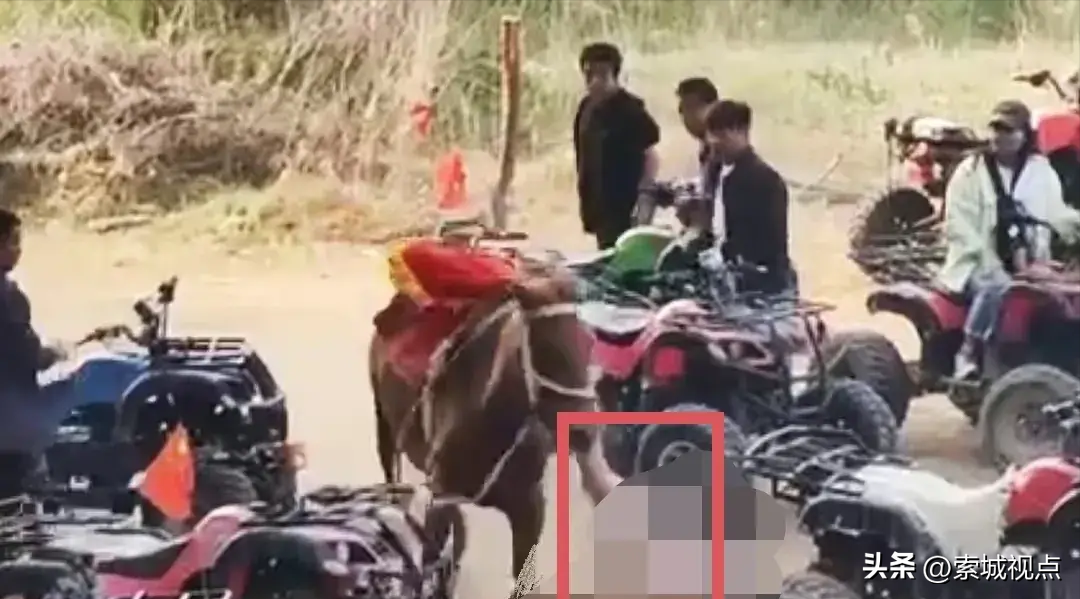 事故原因曝光！8岁男童骑马被拖行致亡后续通报(图3)