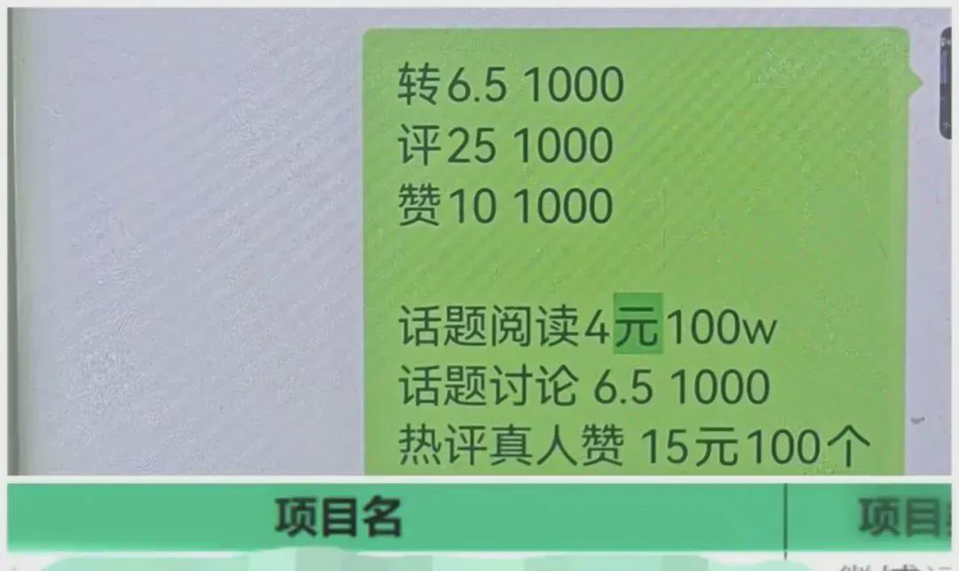 涉案金额达2亿余元!一网络水军黑手被全链条斩断(图1)