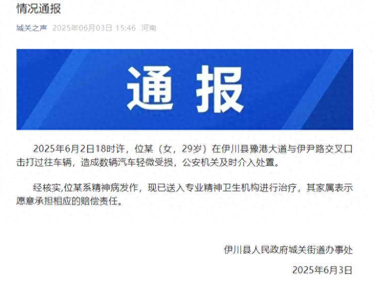 官方通报女子持械当街打砸多辆轿车:系精神病发作(图1)