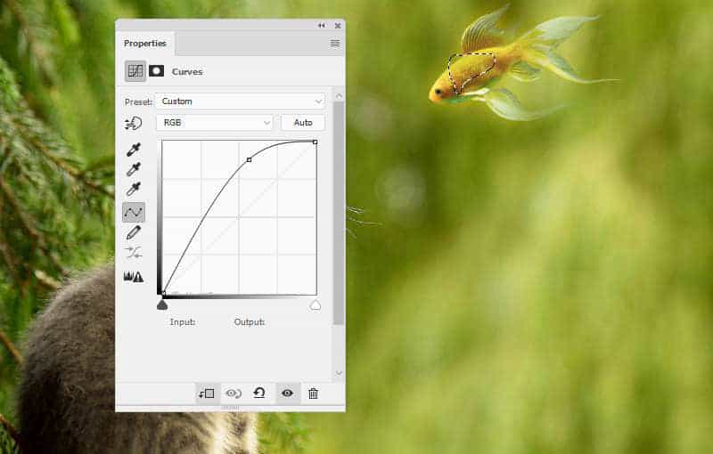 Photoshop教程:创建猫观看鱼的幻想场景(图9)