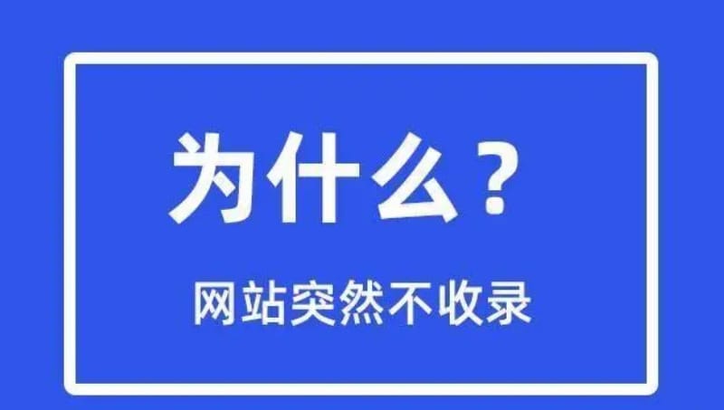 新网站为什么长时间不收录?新站总是不被搜索引擎收录的原因(图1)