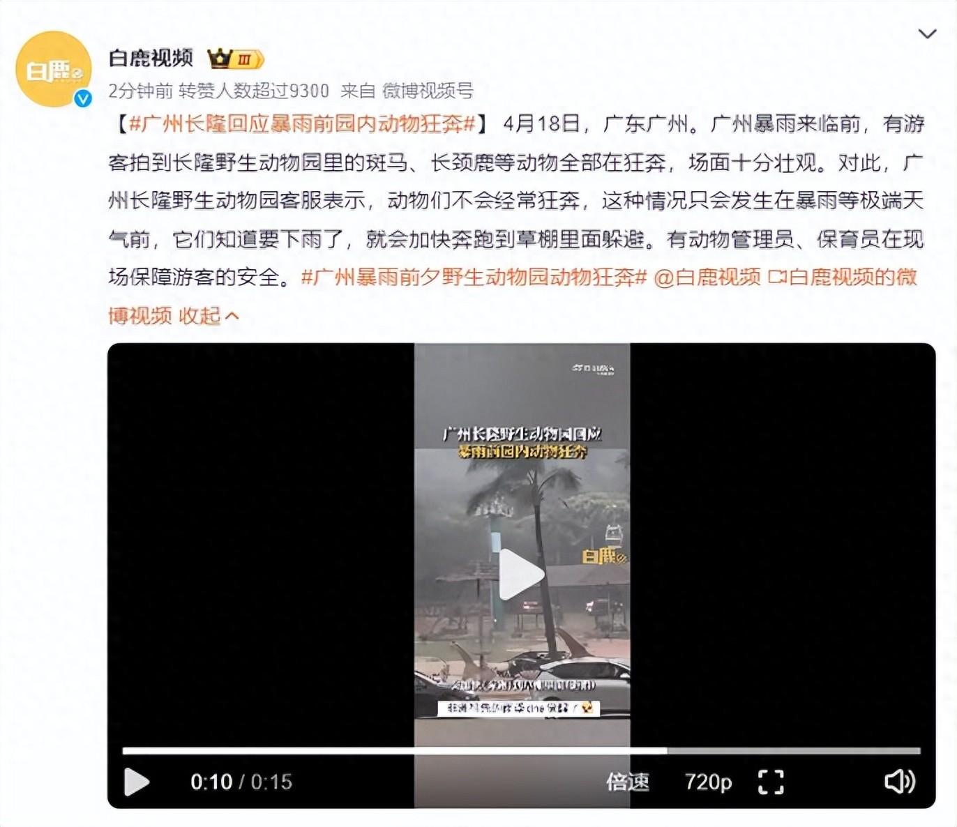 广州长隆回应暴雨前园内动物狂奔，网友:不止动物跑，我也跑啊(图1)