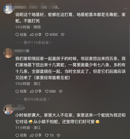 心里好害怕啊?师傅挖地基连续挖出4条蛇 称至今心里都不安(图2)