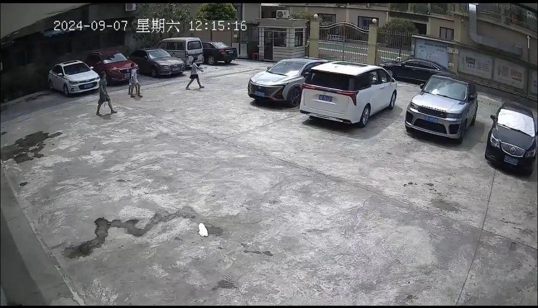 四川乐山9岁女孩外出“和同学玩”，失联近一天后被发现溺亡，同学曾否认在一起(图2)