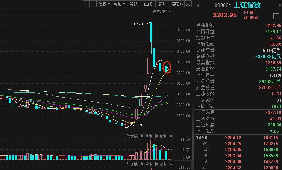 指数如期回踩颈线，牛市行情加速！(图1)