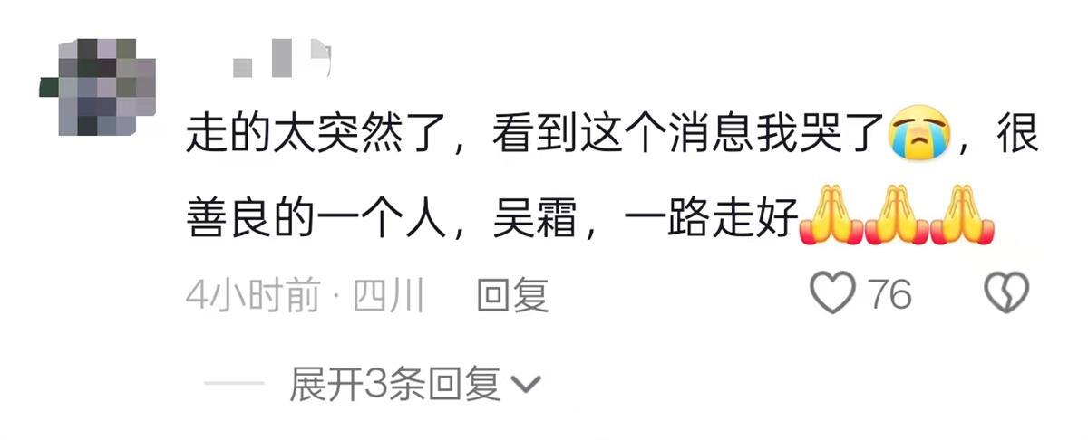 42岁知名网红博主吴霜去世，婚后第8年生下双胞胎，产后大出血辗转多家医院(图4)