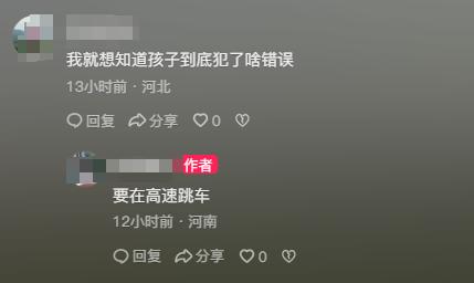 “认识到自己的错误！”在高速上被妈妈抽打的“小孩哥”发声，网友：童年完整了(图4)