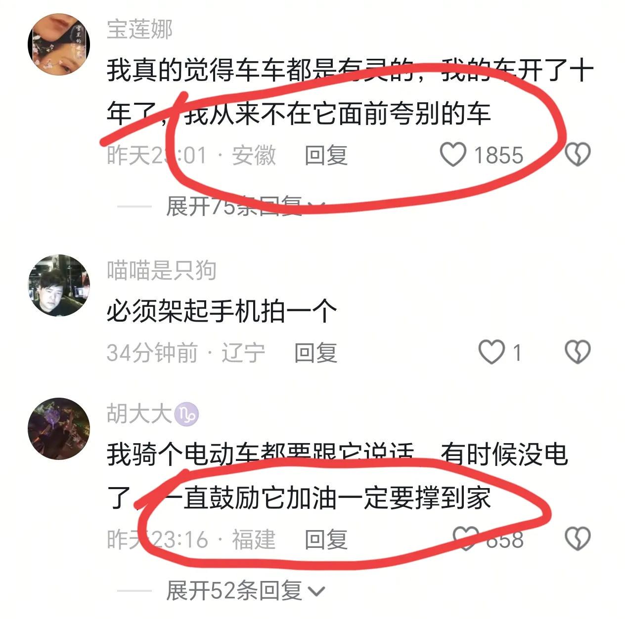 父母车祸轻微伤 女子跪谢爱车护主 网友:万物皆有灵(图2)