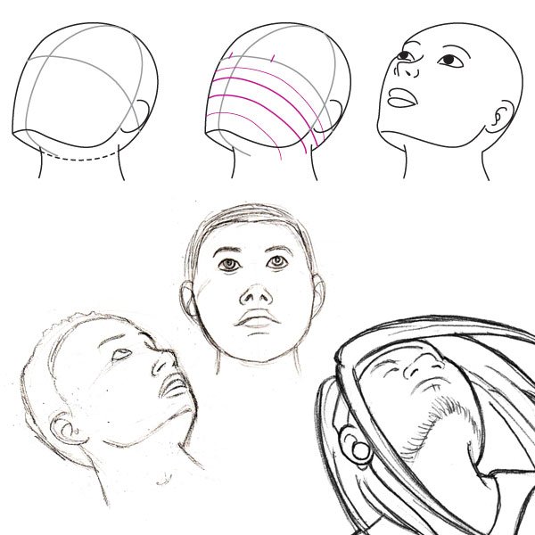 人体绘画教程-人体解剖学基础之面部基础知识(图11)