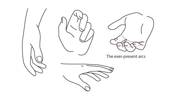 人体绘画教程-人体解剖学基础之如何画手(图16)