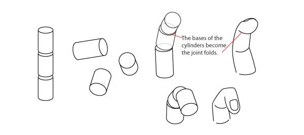 人体绘画教程-人体解剖学基础之如何画手(图4)
